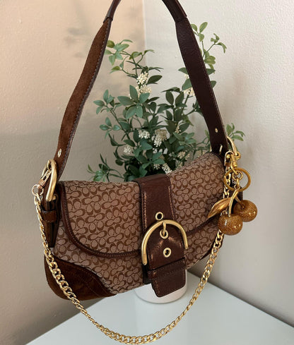 Brown Coach