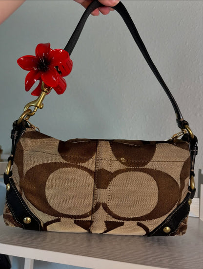 Brown Coach