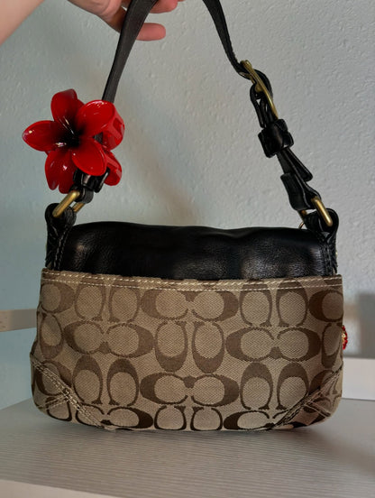 Black & Brown Coach