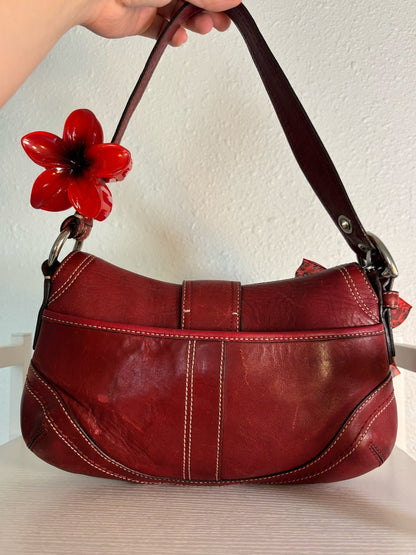 Coach Mini