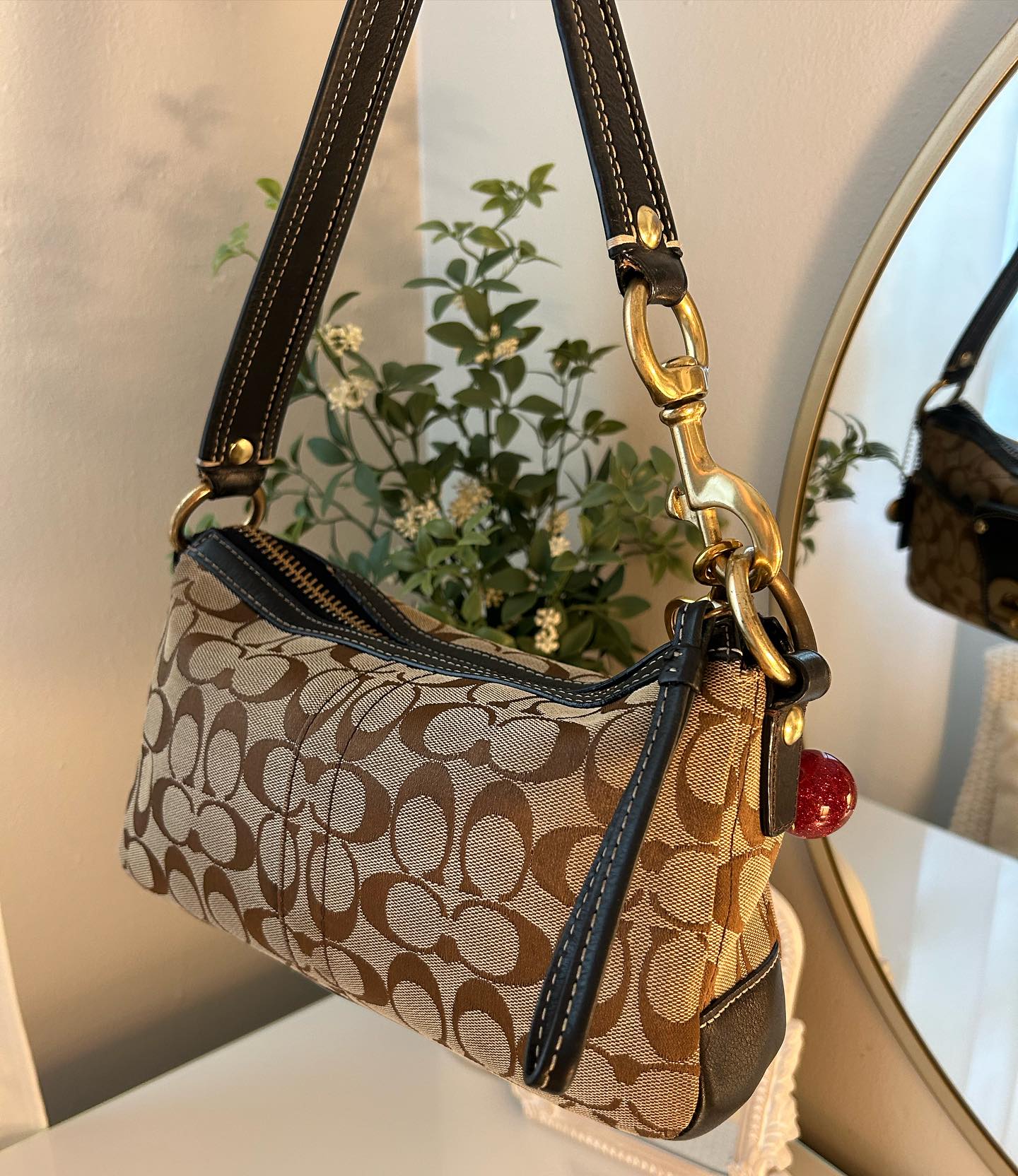 Tan Bag