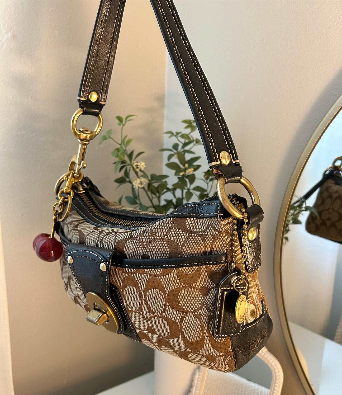 Tan Bag