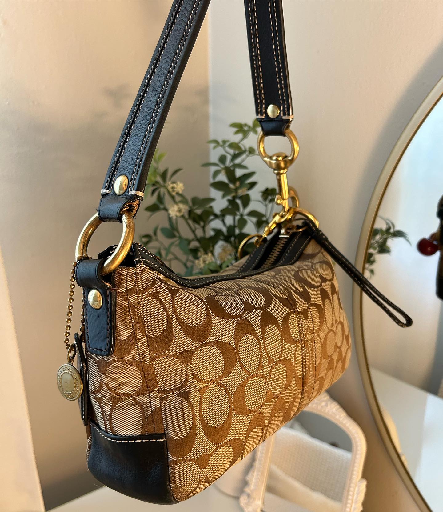 Tan Bag