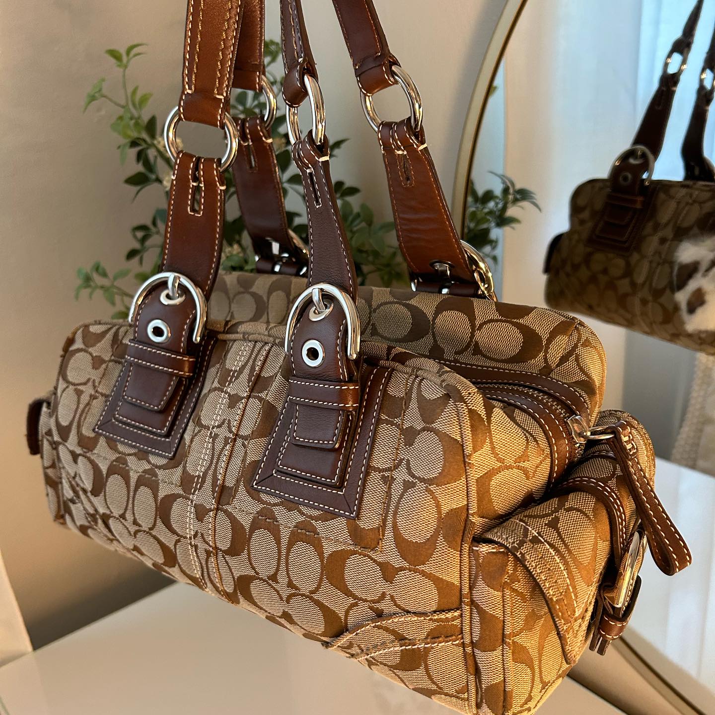 Brown Bag