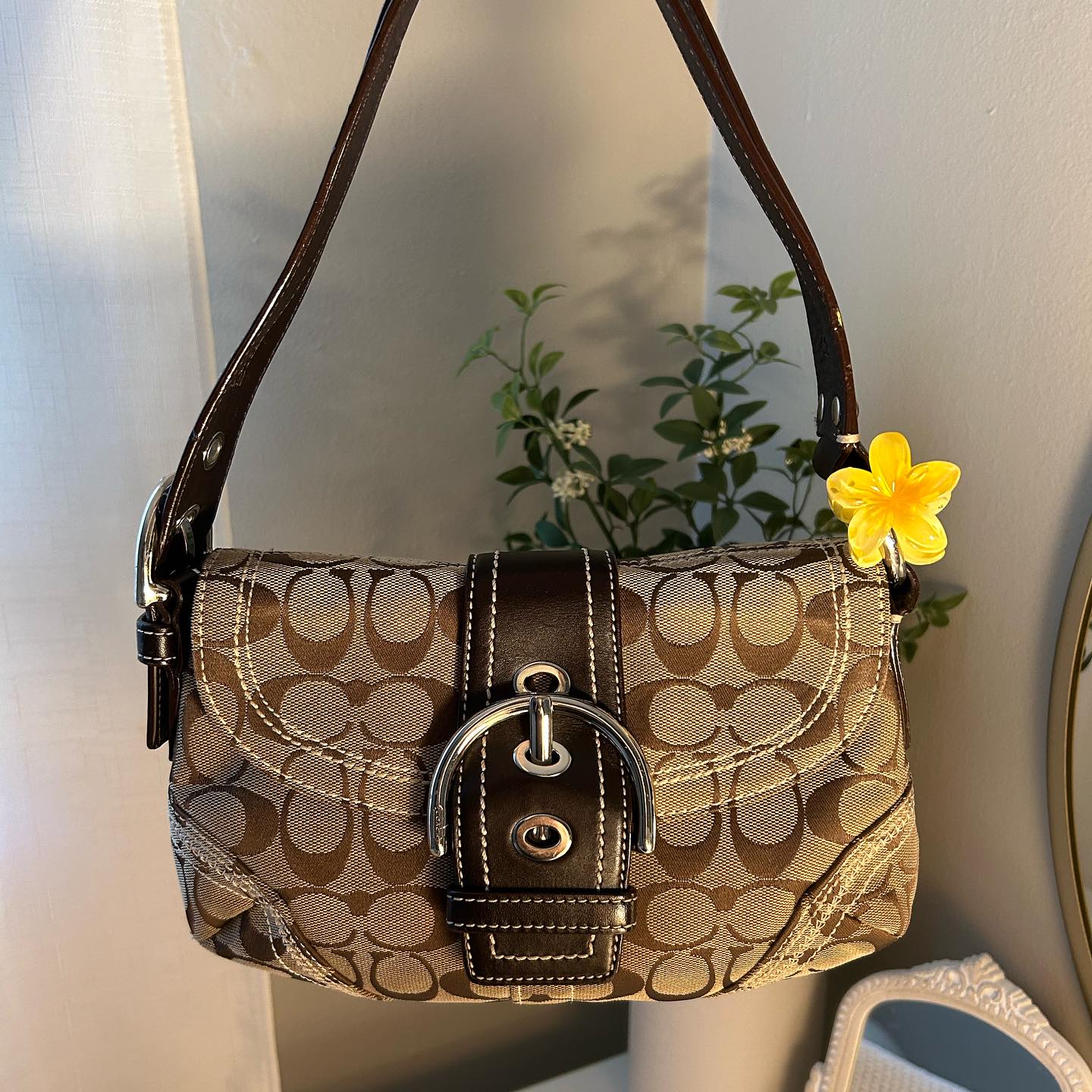 Tan Bag