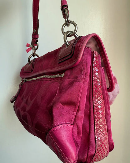 Vintage Coach