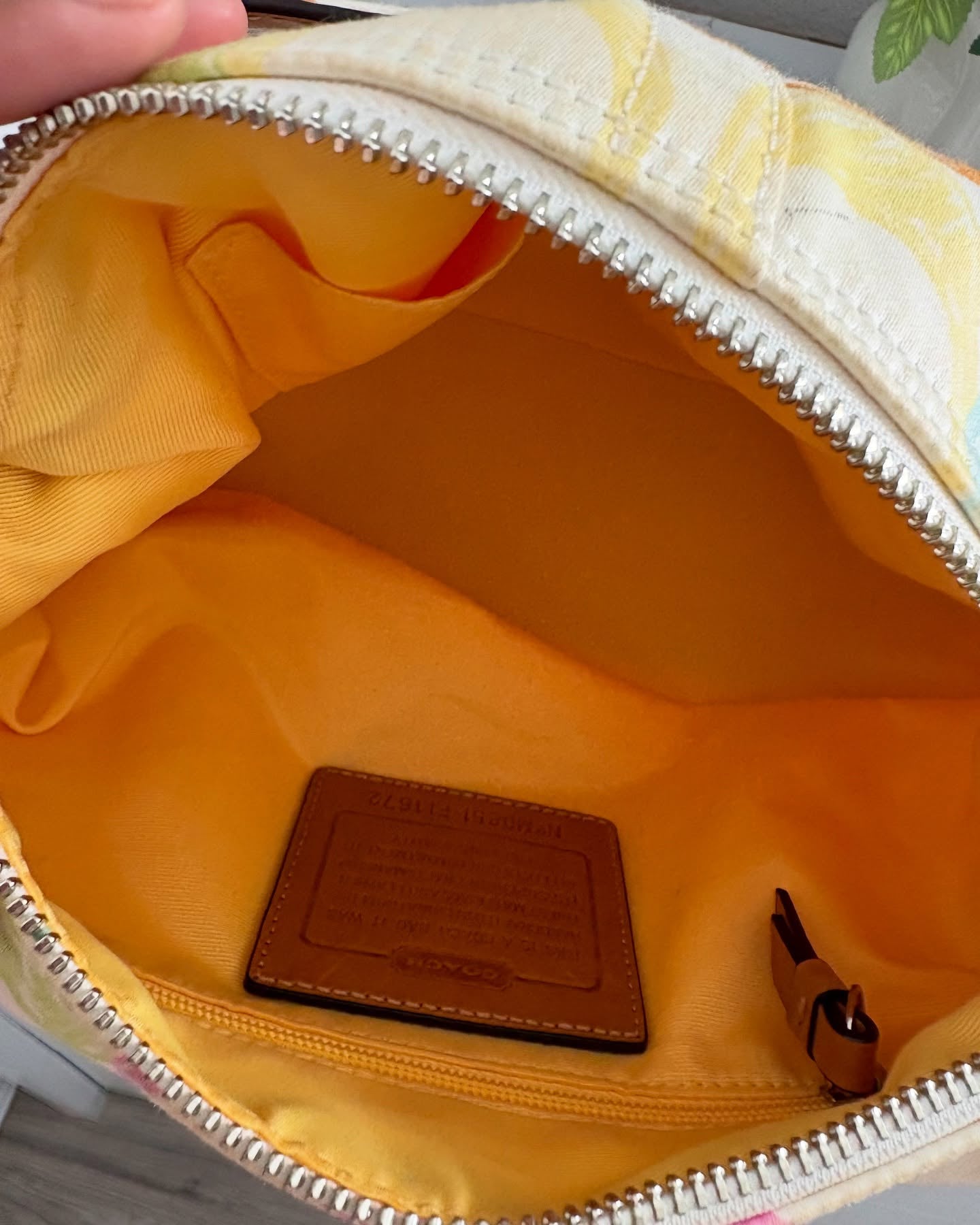 Vintage Coach