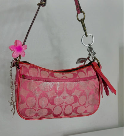 Vintage Coach