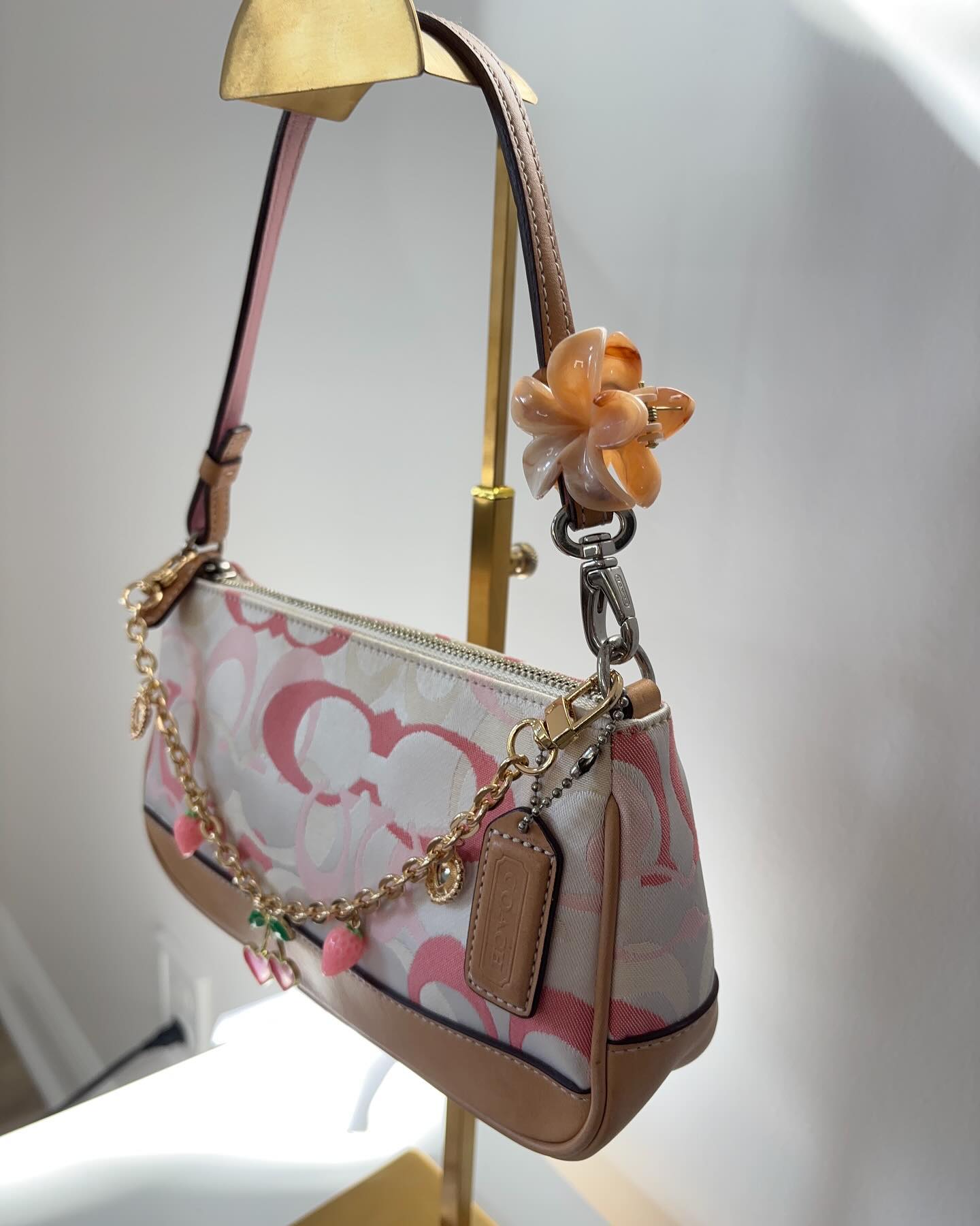 Pink Bag
